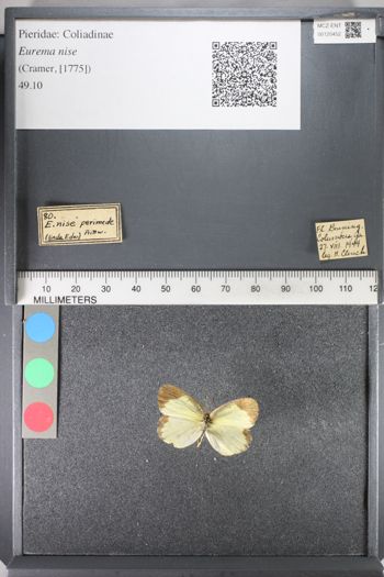 Media type: image;   Entomology 120452